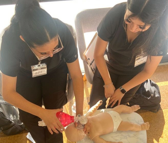 students performing CPR on test infant dummy students performing CPR on test infant dummy